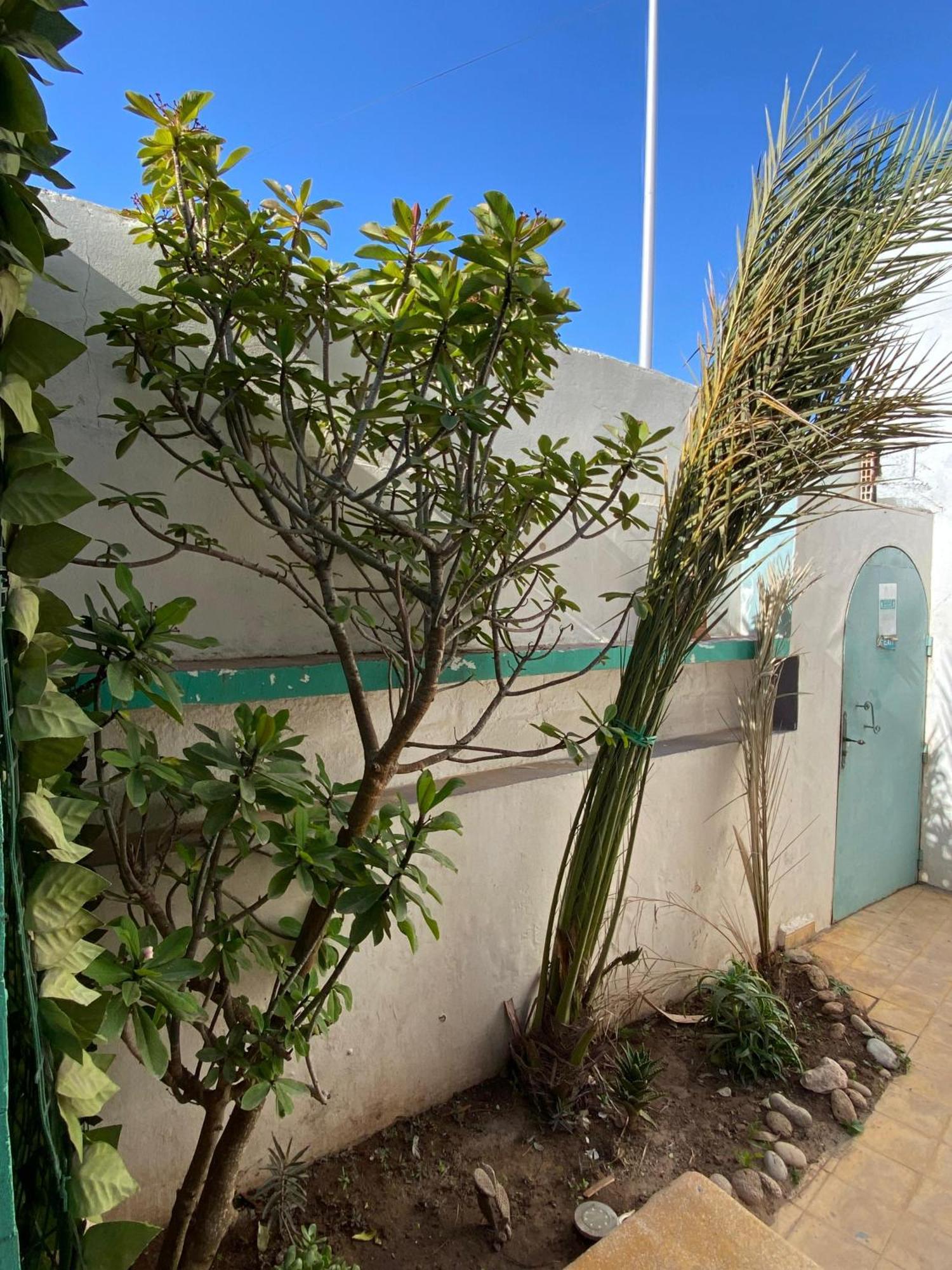 Yousurf Surf House * Essaouira