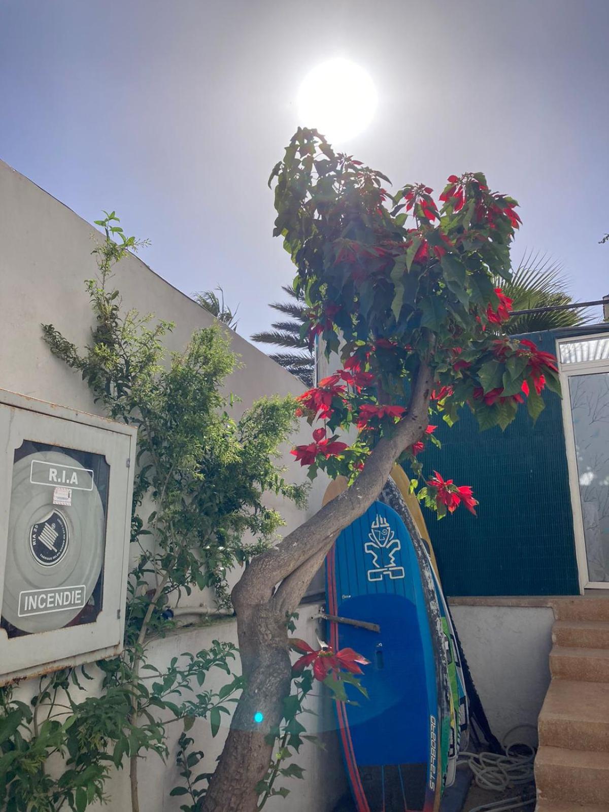 Yousurf Surf House * Essaouira